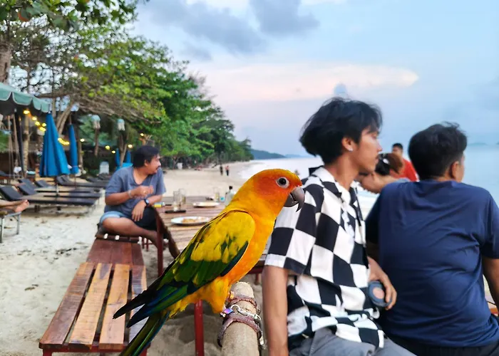 Yuyu Golden Beach